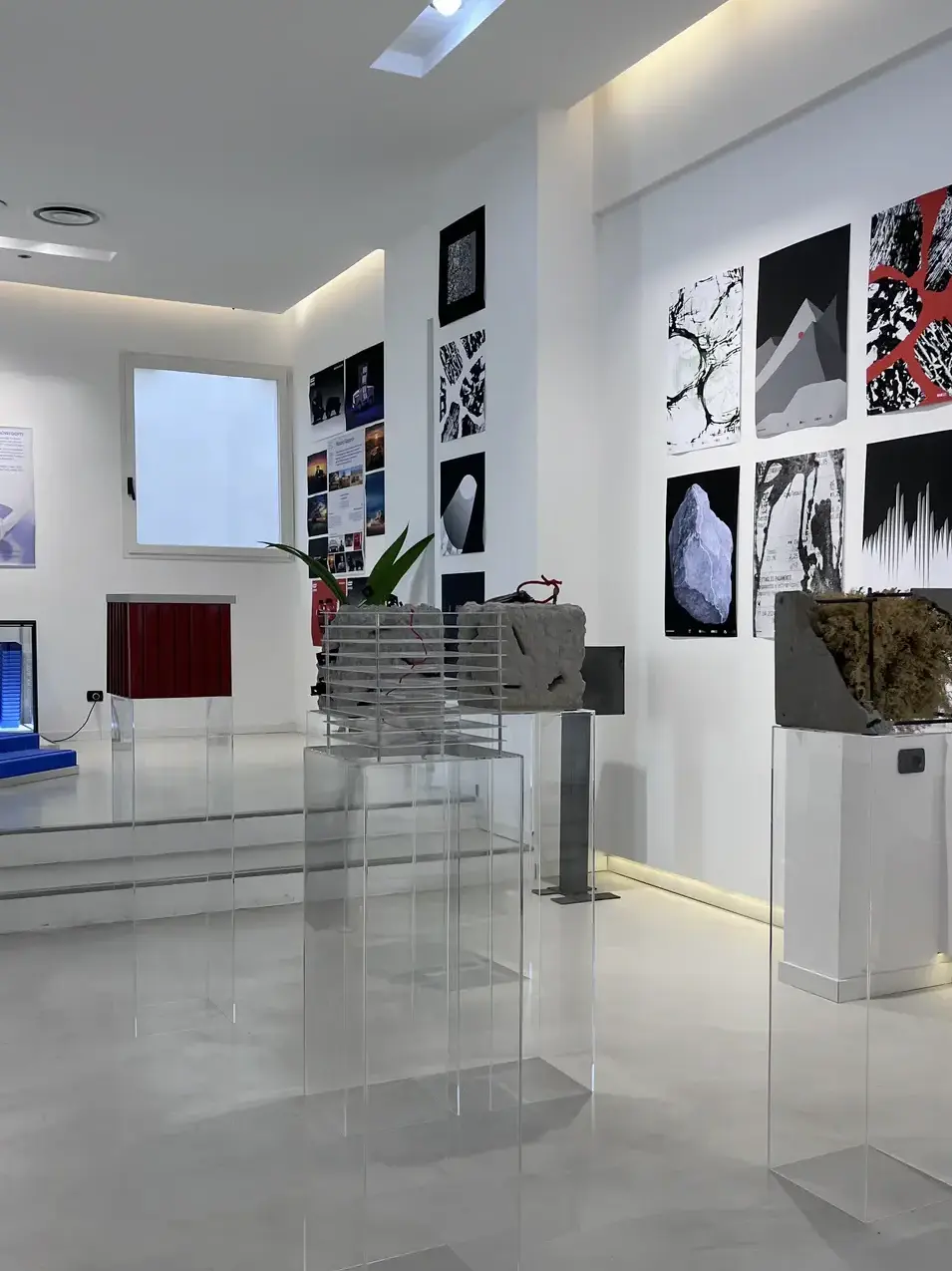 IMG_7389 2_risultato